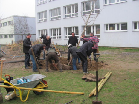 Baumpflanzaktion Solitärbaum Buchenbergschule, 14. April 2018